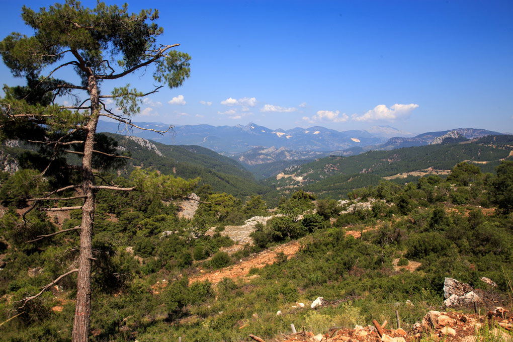 Kovada National Park